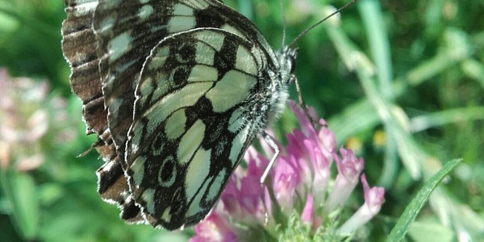 Un concorso fotografico al Parco Monte Barro