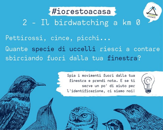 Covid 19, le attività di educazione ambientale da fare in casa \ #2 Birdwatching a Km 0