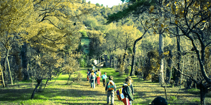 Parco Monte Barro - Natura e territorio
