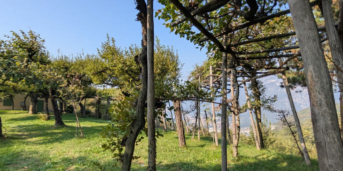 Al via la campagna di inanellamento 2026 al Roccolo di Costa Perla: visite guidate ed esperienze speciali