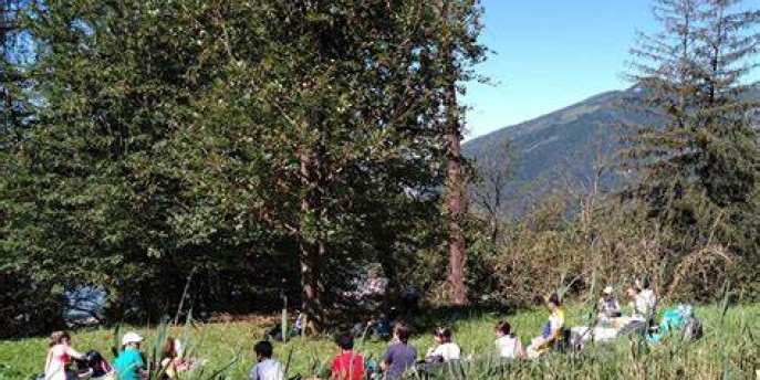 La natura vi aspetta al Parco Monte Barro con i Centri Estivi 2024. Affrettatevi!