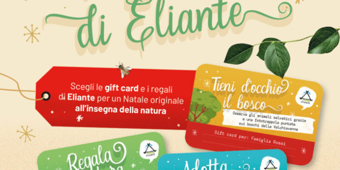 I regali di Natale con Eliante