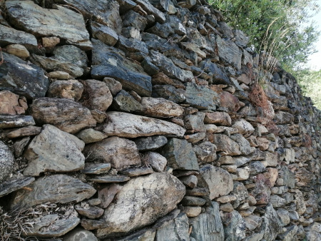 I terrazzamenti. Storia, tradizioni, cultura, natura