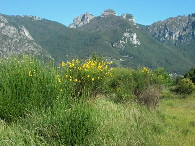 Con BioBlitz Lombardia al PLIS San Pietro al Monte - San Tomaso