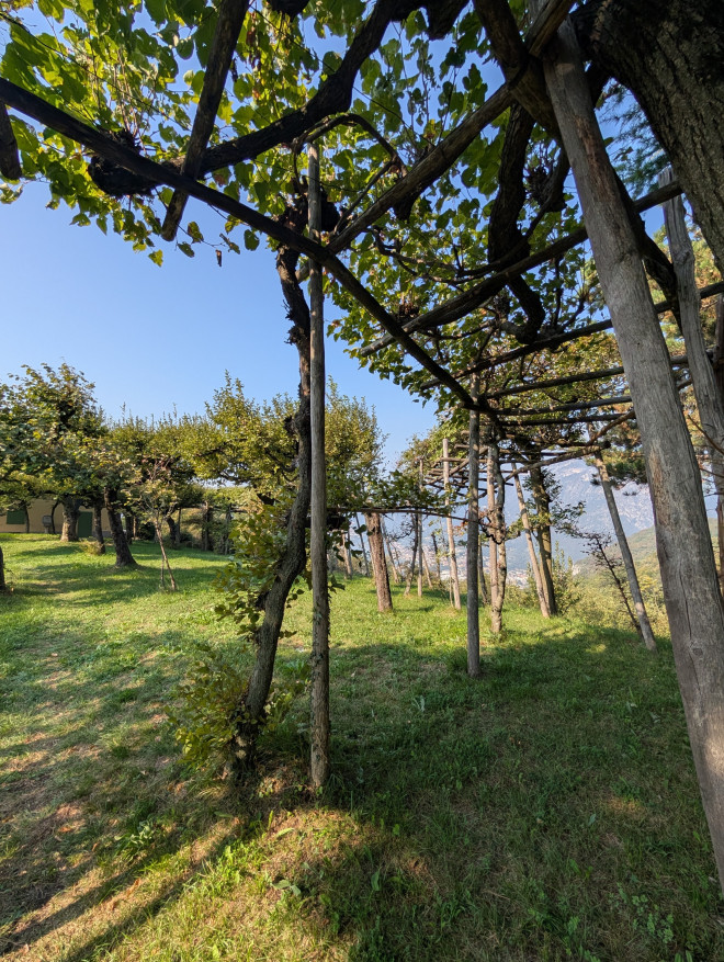 Al via la campagna di inanellamento 2026 al Roccolo di Costa Perla: visite guidate ed esperienze speciali