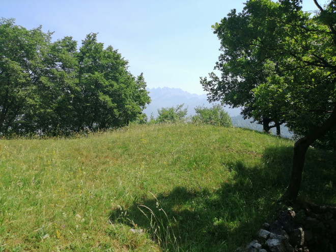 Escursioni nella natura con BioBlitz Lombardia