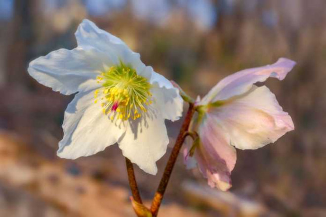 Concorso fotografico al Parco Monte Barro 