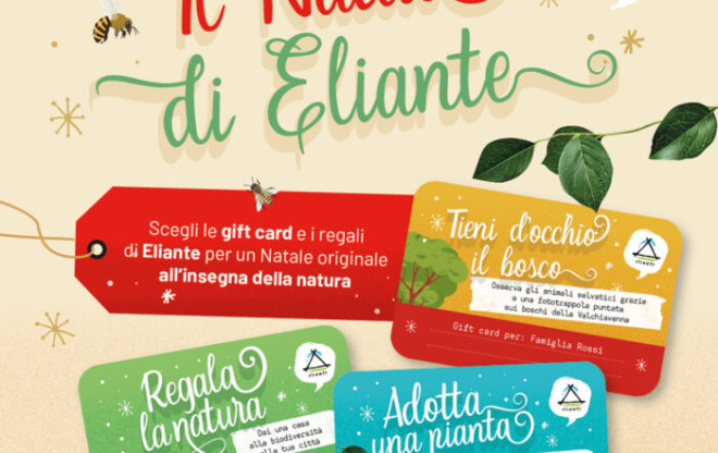 I regali di Natale con Eliante